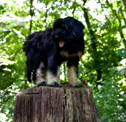 Foto-Focus_33